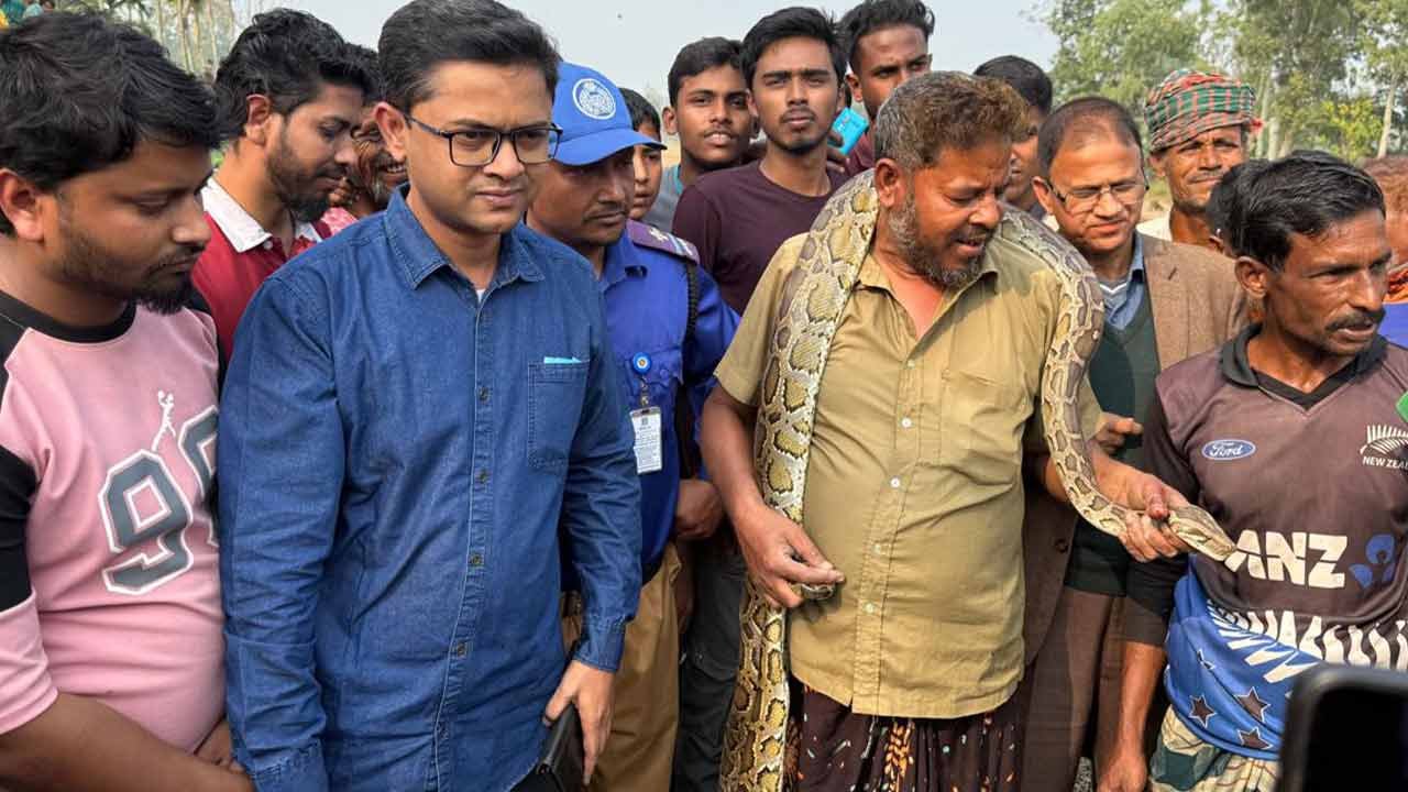 কুড়িগ্রামে ৯ ফুট লম্বা অজগর উদ্ধার, নিরাপদে বন বিভাগের হাতে হস্তান্তর